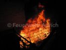 Bild-Nr. 444 F_klein